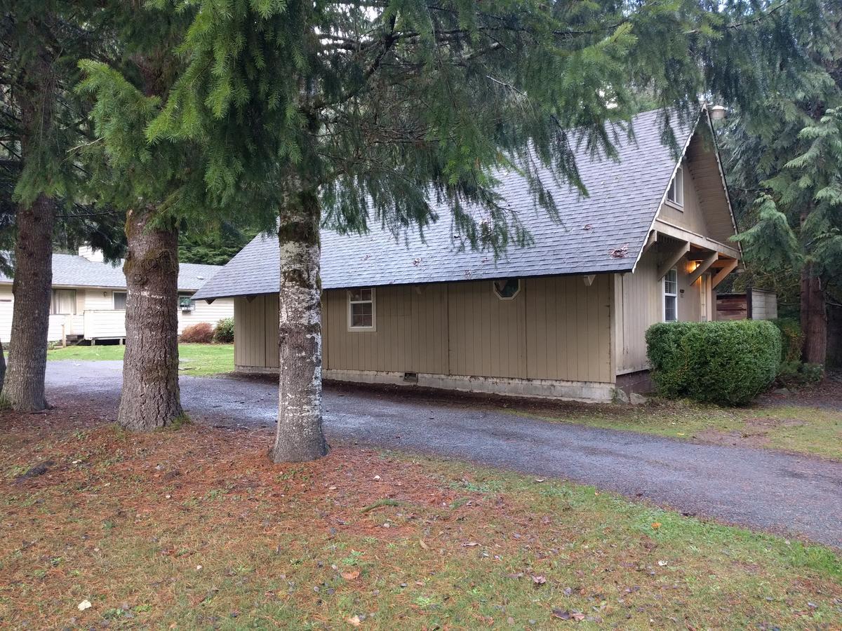 Chalet At Mt. Rainier Villa Ashford Kültér fotó